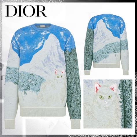 peter doig dior sweater|peter doig and dior.